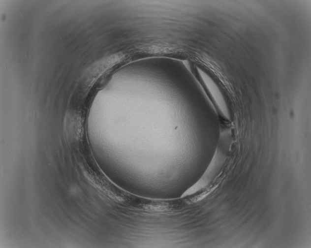 X0000085060164200703191334