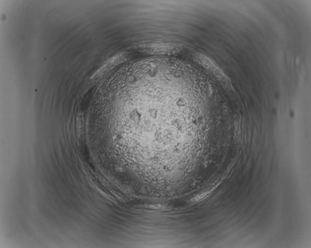 X0000085060165200703191334