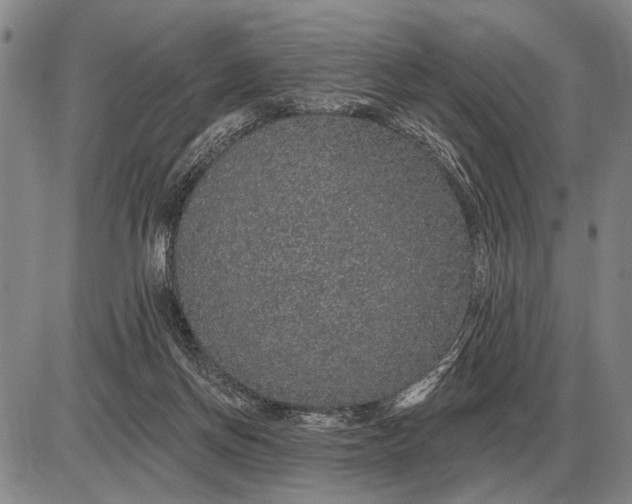 X0000085060166200703191334