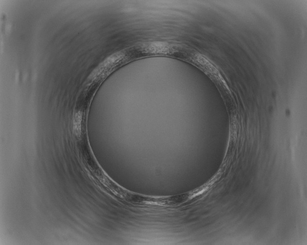 X0000085060167200703191334