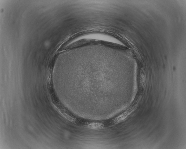 X0000085060168200703191334