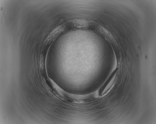 X0000085060170200703191334