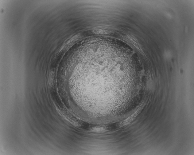 X0000085060171200703191334