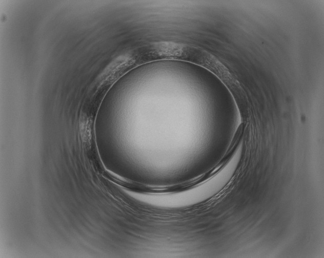 X0000085060172200703191334