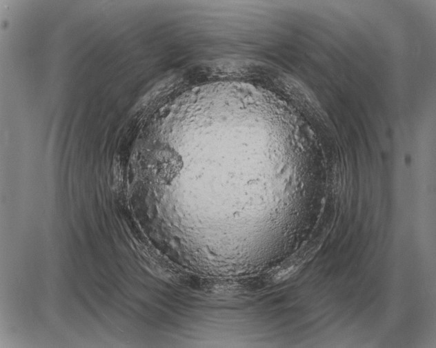 X0000085060173200703191334