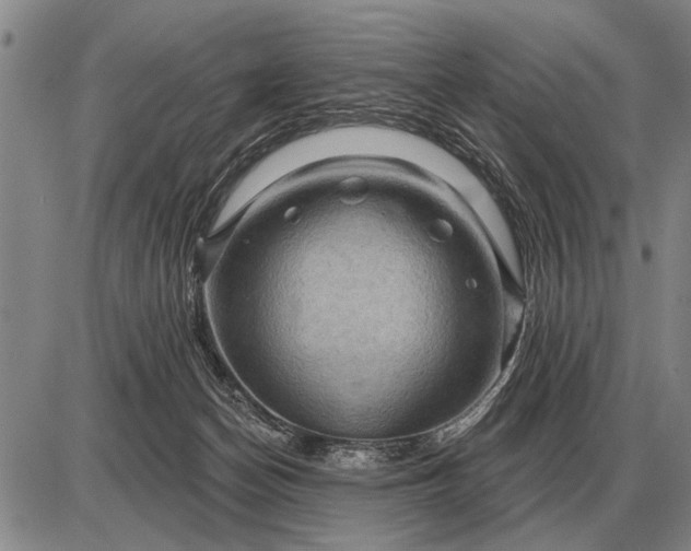 X0000085060174200703191334