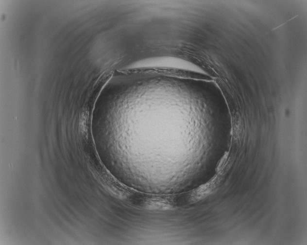 X0000085060175200703191334