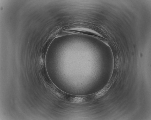 X0000085060176200703191334