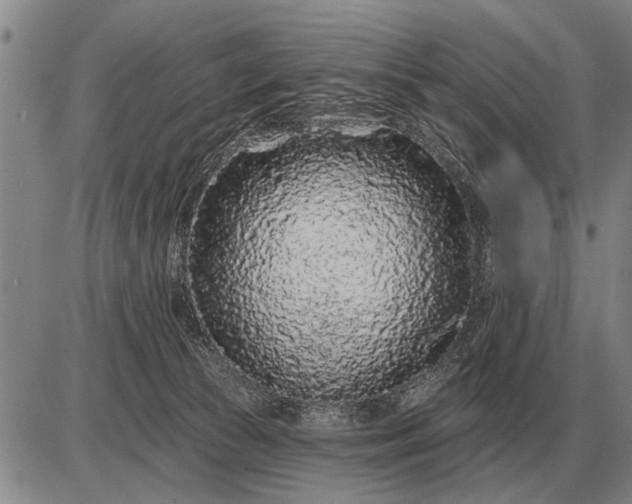 X0000085060177200703191334