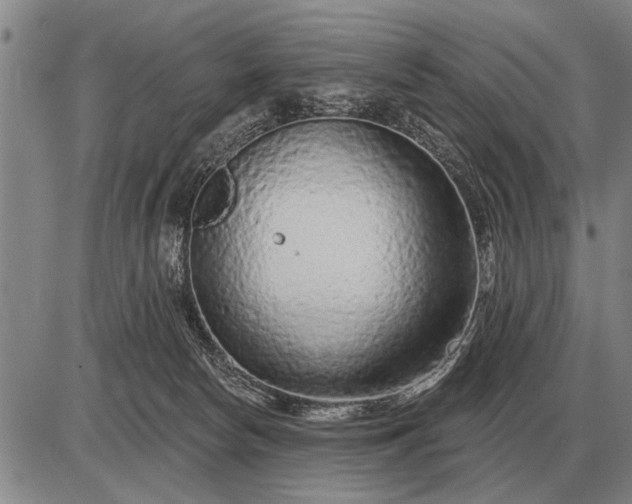 X0000085060178200703191334