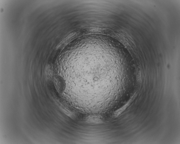 X0000085060179200703191334