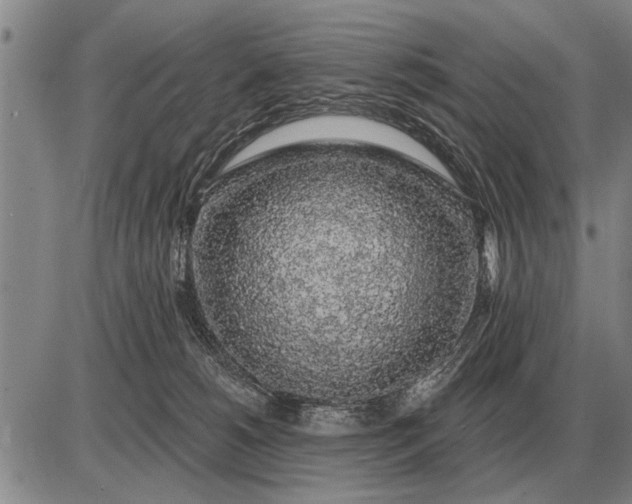 X0000085060180200703191334