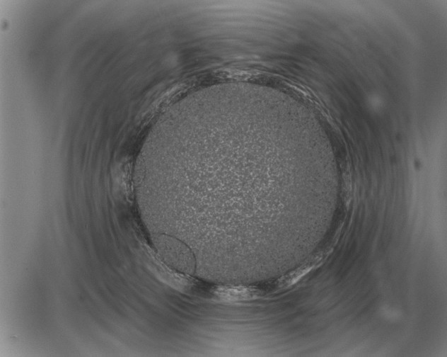 X0000085060181200703191334