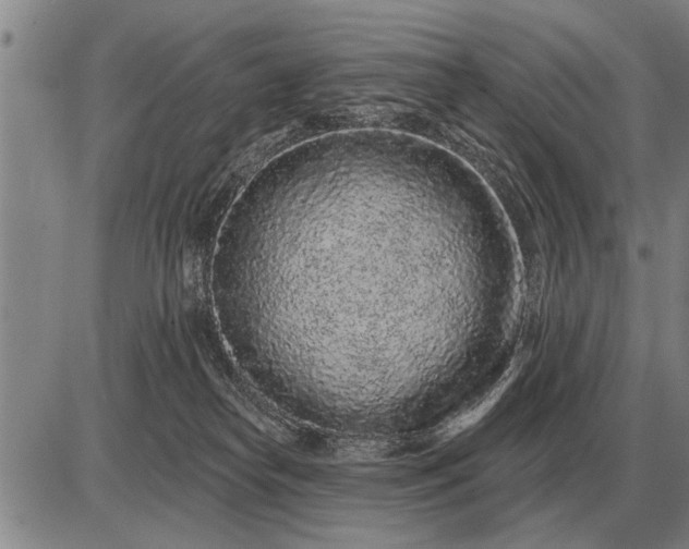 X0000085060182200703191334