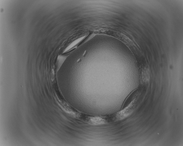 X0000085060183200703191334