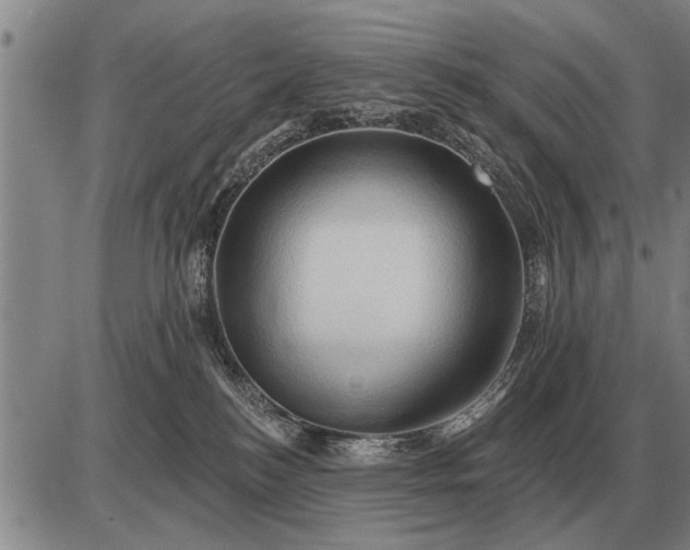 X0000085060184200703191334