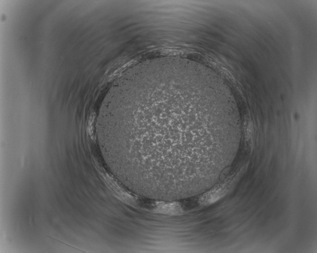 X0000085060185200703191334