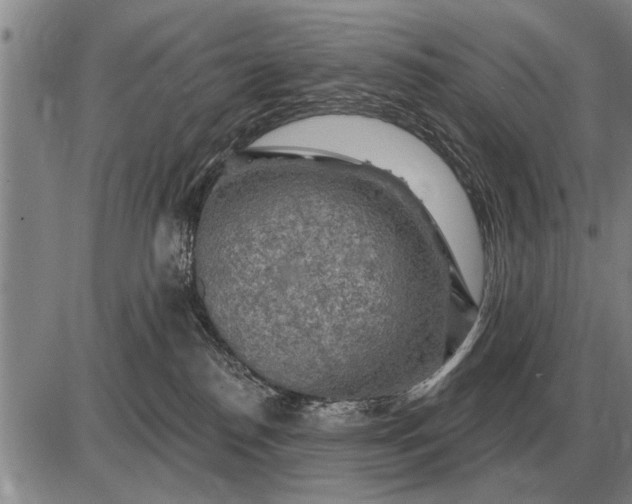 X0000085060186200703191334