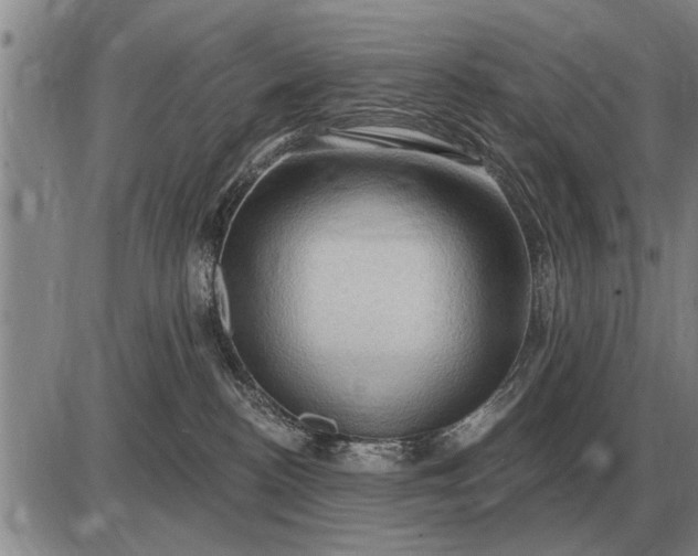 X0000085060188200703191334