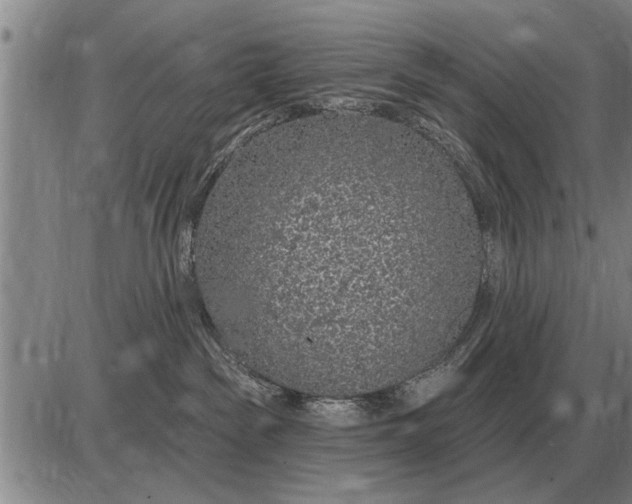 X0000085060189200703191334