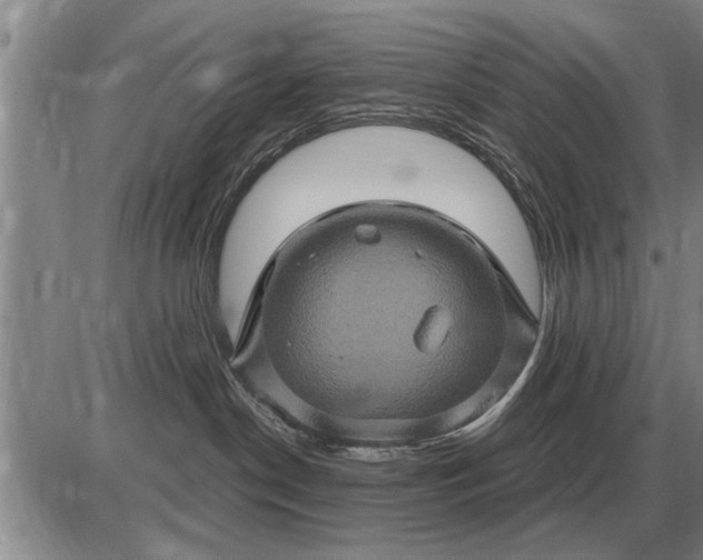 X0000085060190200703191335