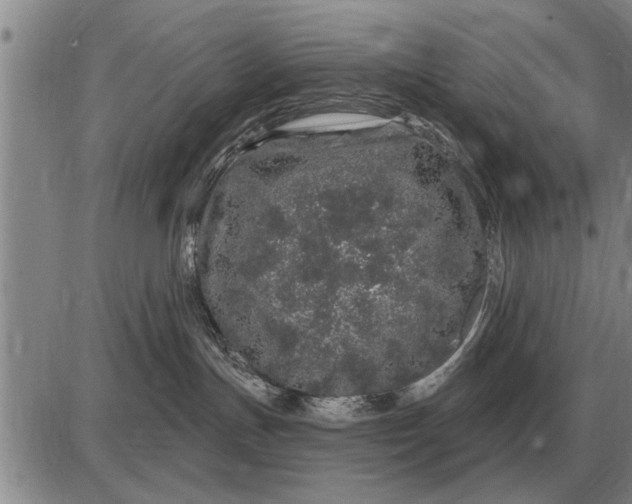 X0000085060191200703191335