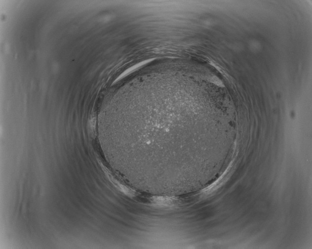 X0000085060192200703191335