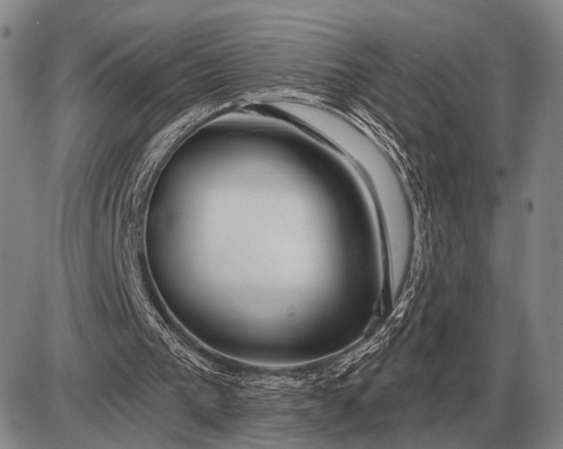 X0000085060193200703191334