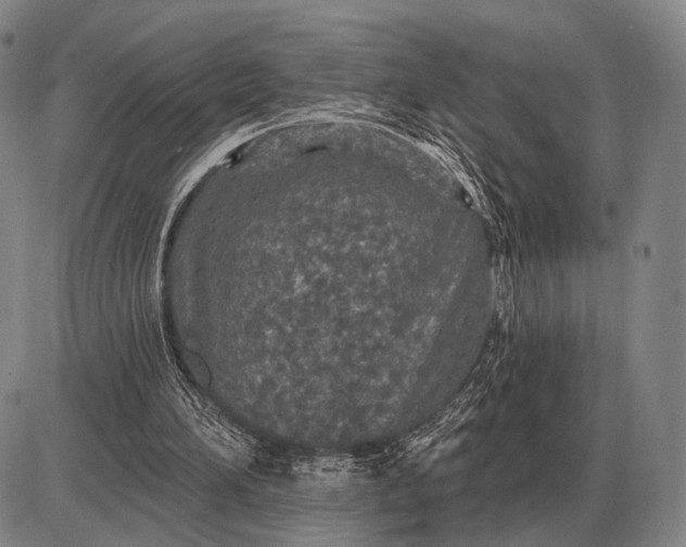 X0000085060196200703191334