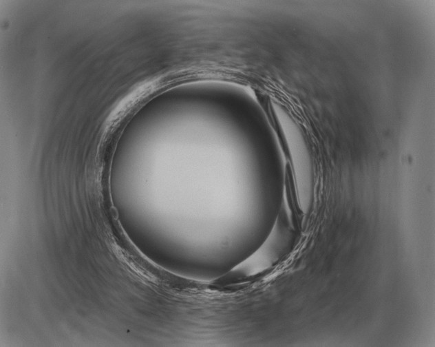 X0000085060197200703191334