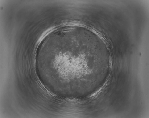 X0000085060199200703191334