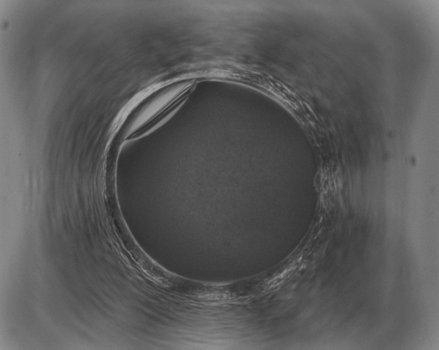 X0000085060200200703191334