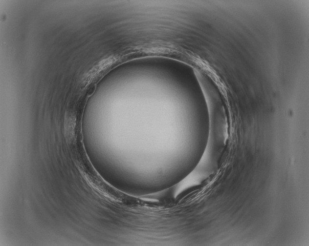 X0000085060201200703191334