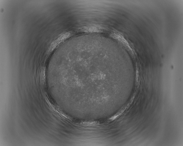 X0000085060202200703191334