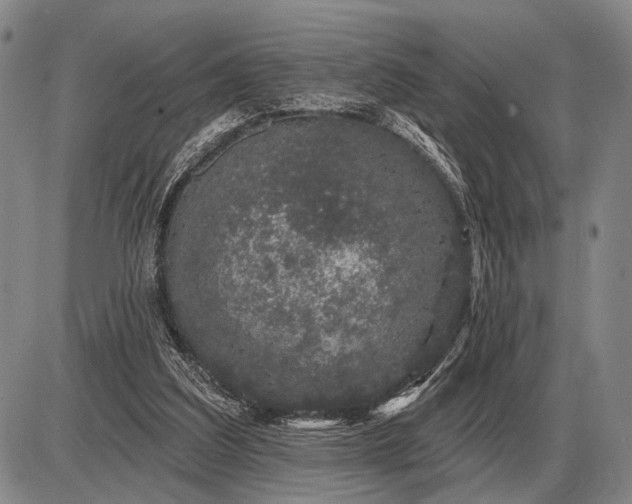 X0000085060203200703191334