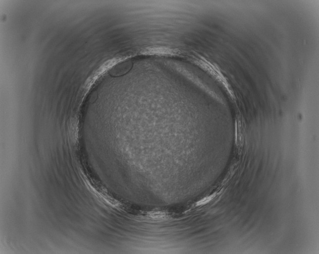 X0000085060204200703191334