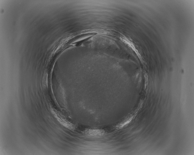 X0000085060205200703191334