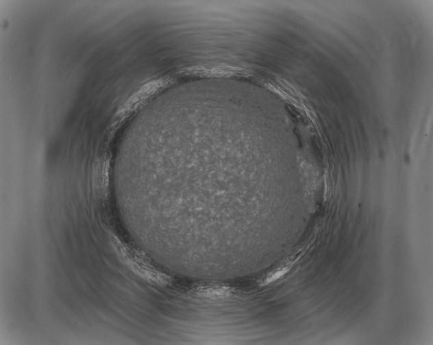 X0000085060206200703191333