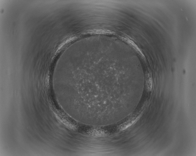 X0000085060207200703191333