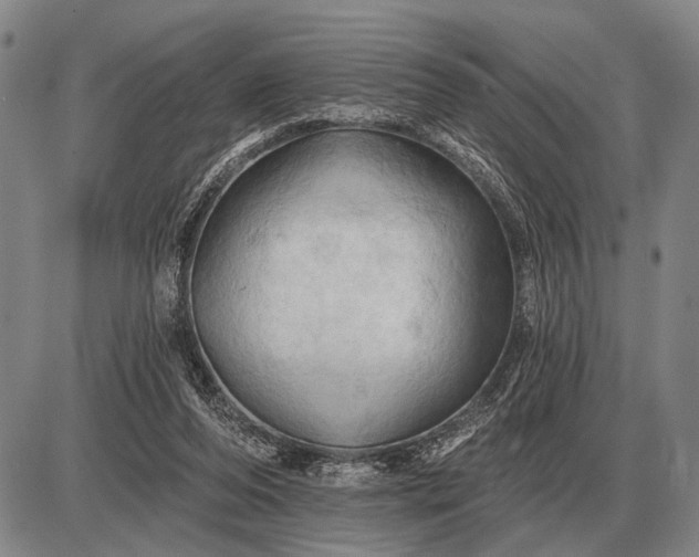 X0000085060208200703191333