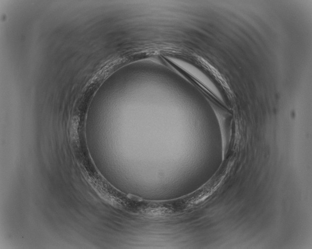 X0000085060209200703191333