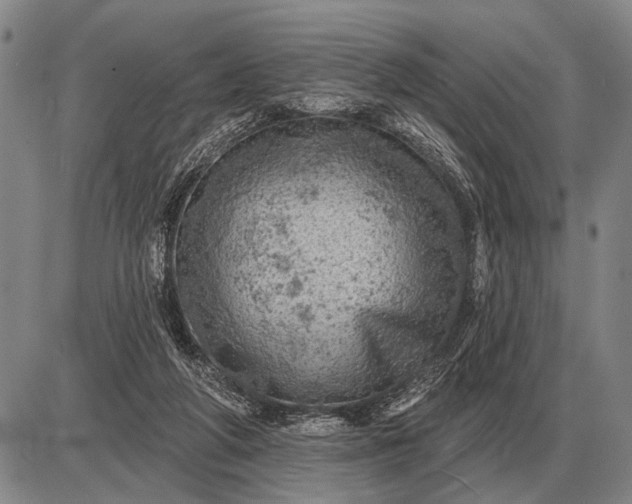 X0000085060210200703191333