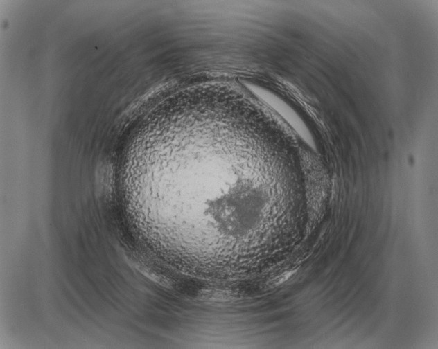 X0000085060211200703191333