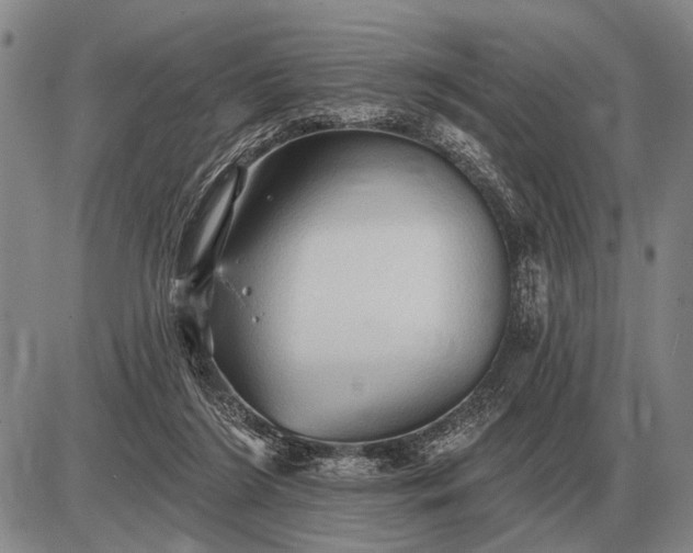 X0000085060212200703191333