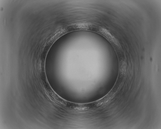 X0000085060213200703191333