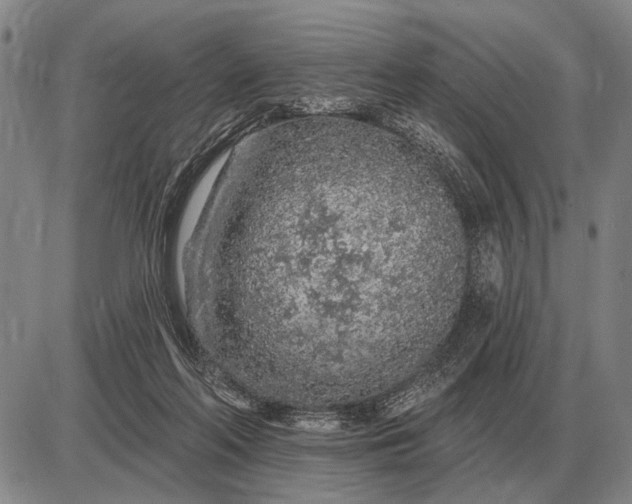 X0000085060214200703191333