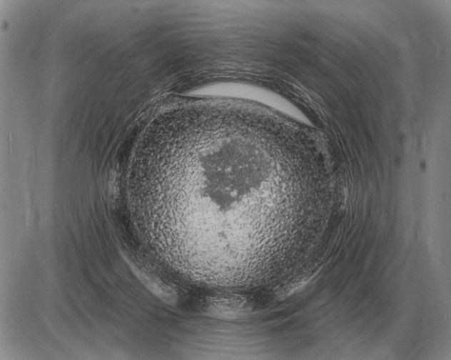 X0000085060215200703191333