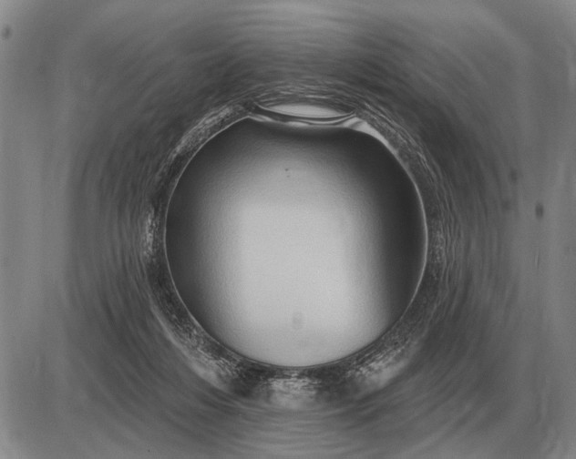 X0000085060216200703191333