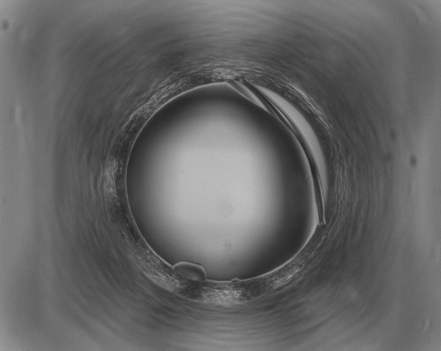 X0000085060217200703191333