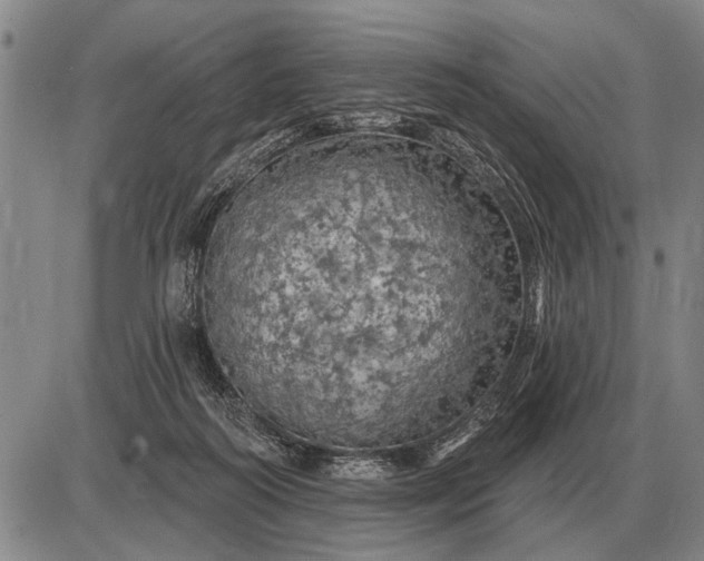 X0000085060218200703191333